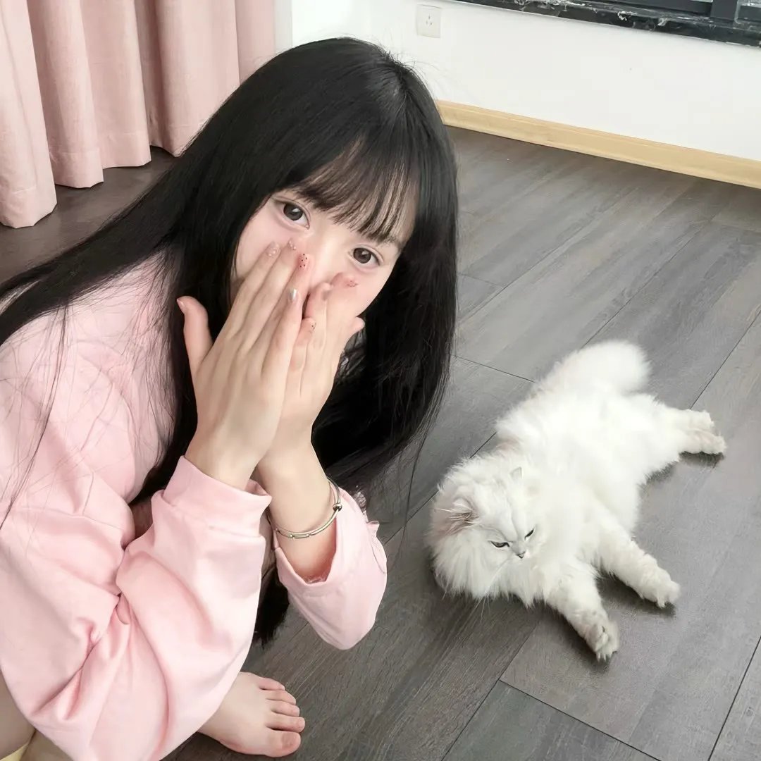 蛛网屋